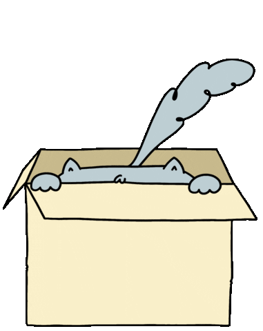 A grey cat peeking out of a cardboard box.